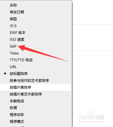 文件夹内的文档如何按SAP排序