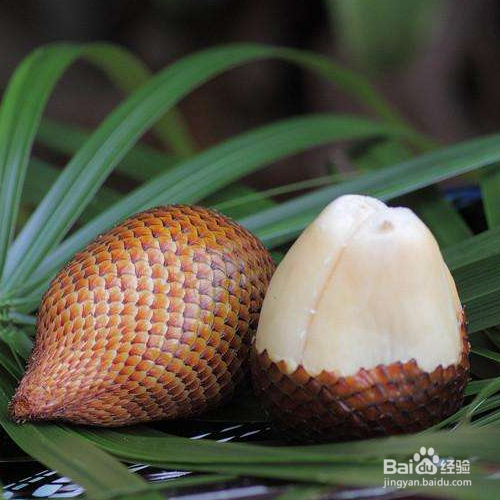 蛇皮果怎么种植好？