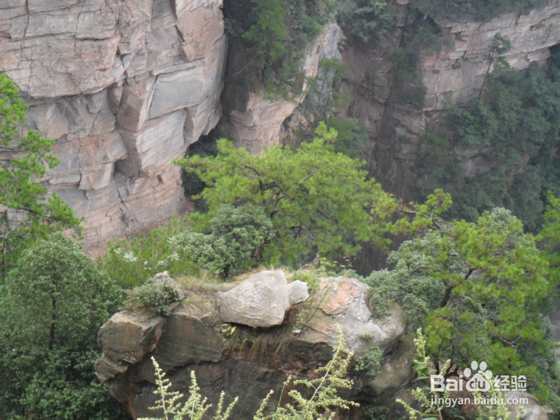 新乡到张家界自驾游