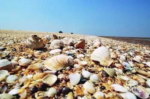 童话美景不只存在书中，看山东现实中的童话影像