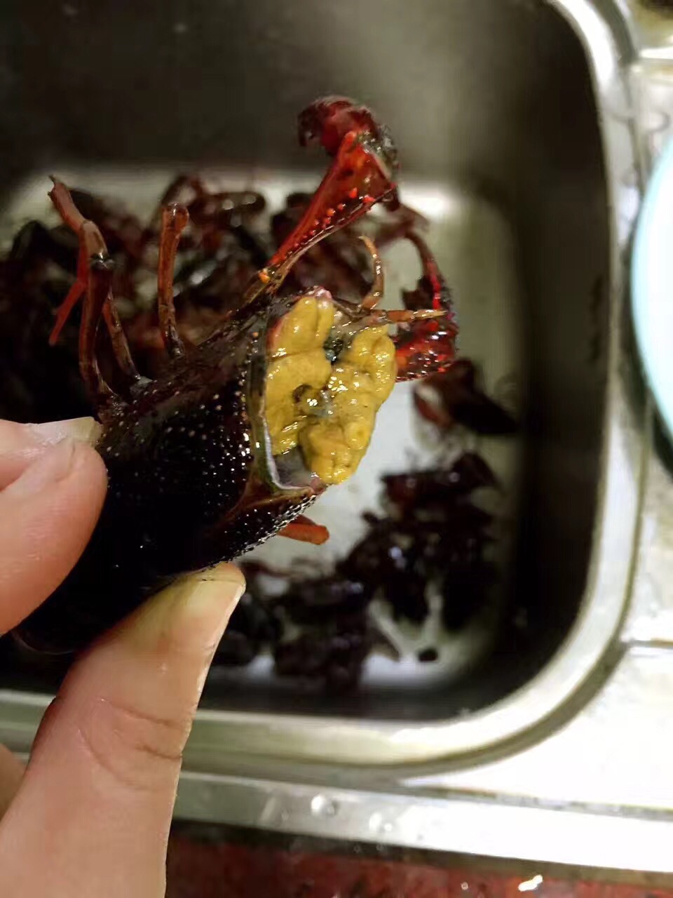 教你怎么处理小龙虾,干净又卫生