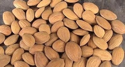前列腺炎中医食疗偏方五