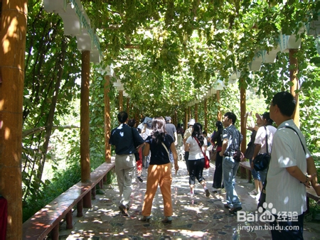 张家界十一自助游攻略