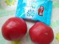 紫菜西红柿鸡蛋汤的制作法