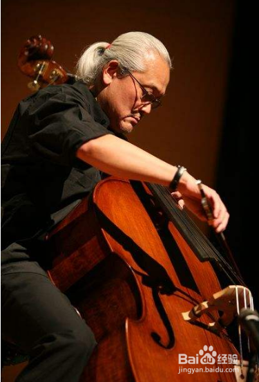 低音提琴怎么演奏