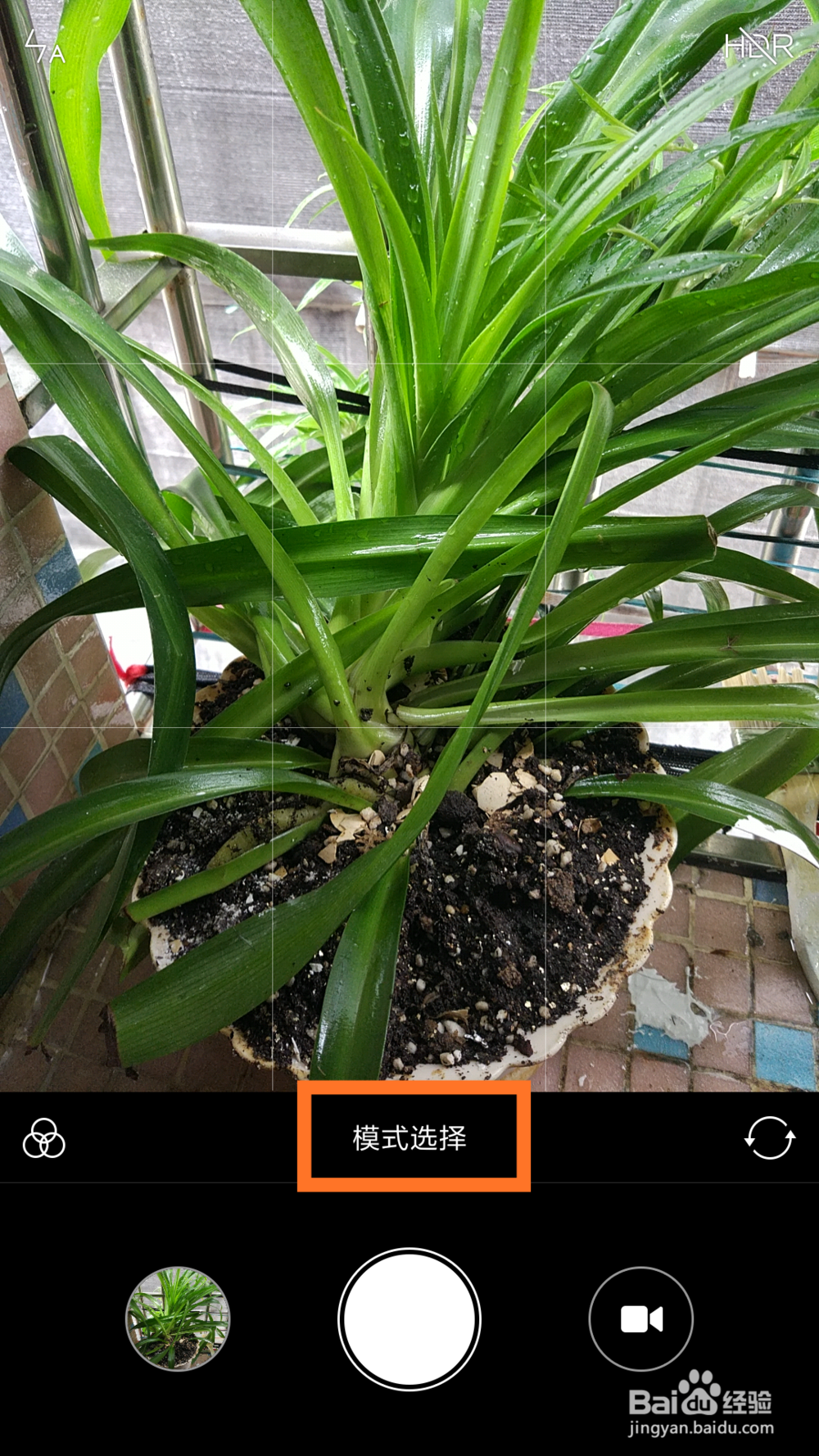 手机拍照如何取消时间水印？