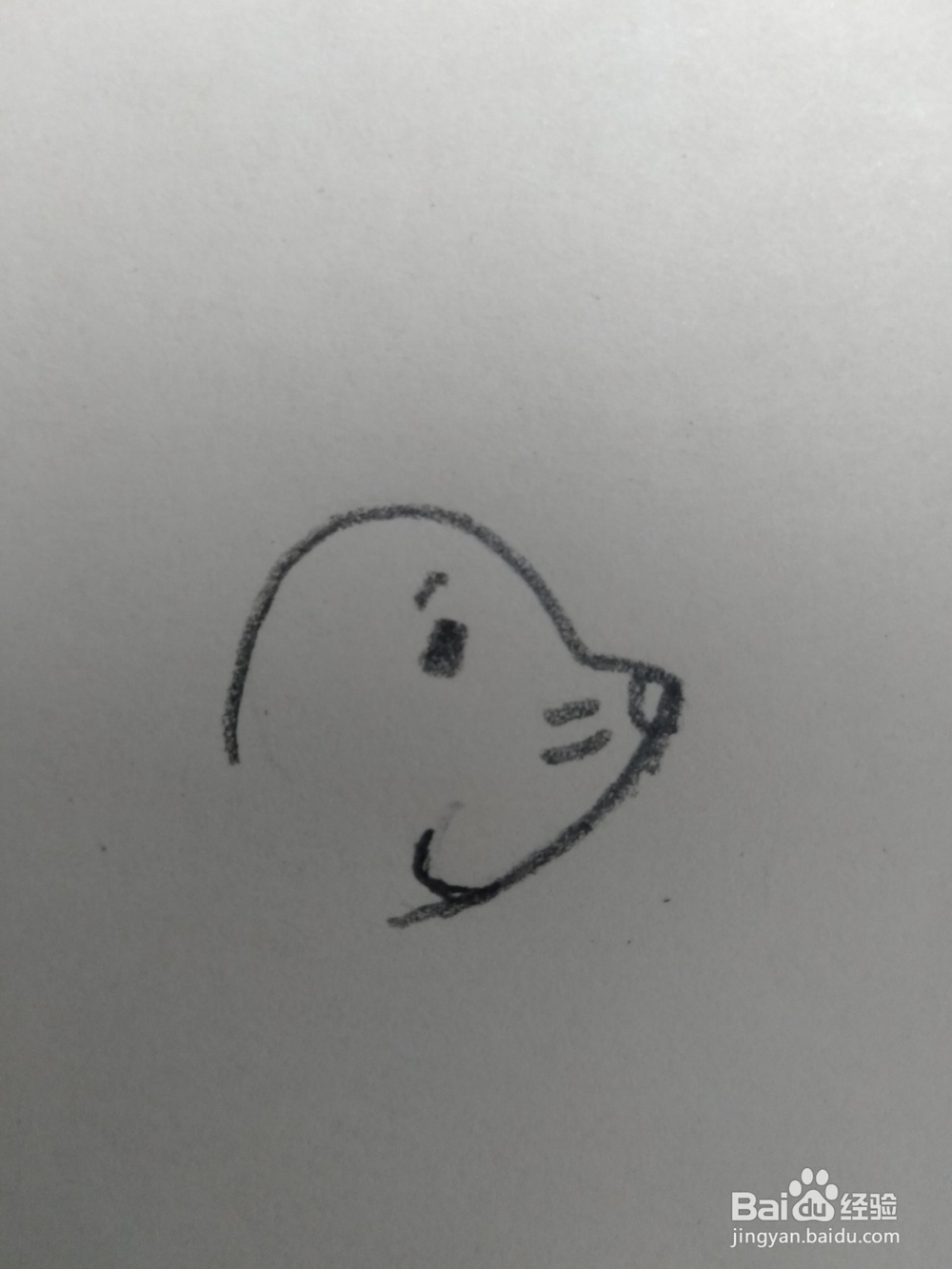 儿童简笔画小海豹画法