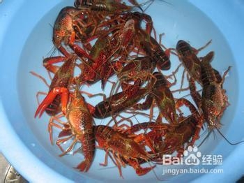 做小龙虾吃的注意事项