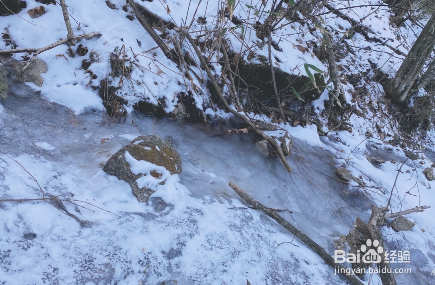 百丈岭 爬山攻略