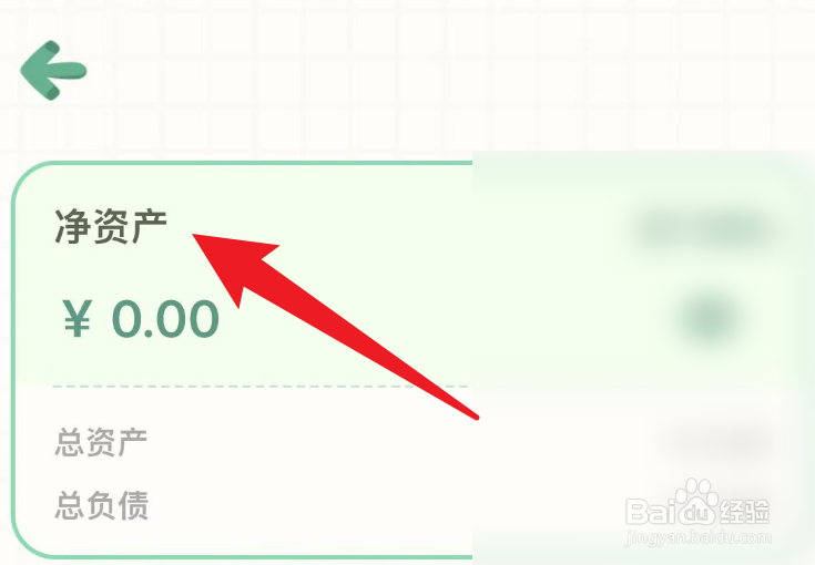 怎么在团团记账当中查看自己的净资产