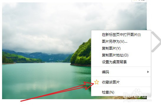 QQ浏览器怎样收藏图片 如何为收藏图片添加标签