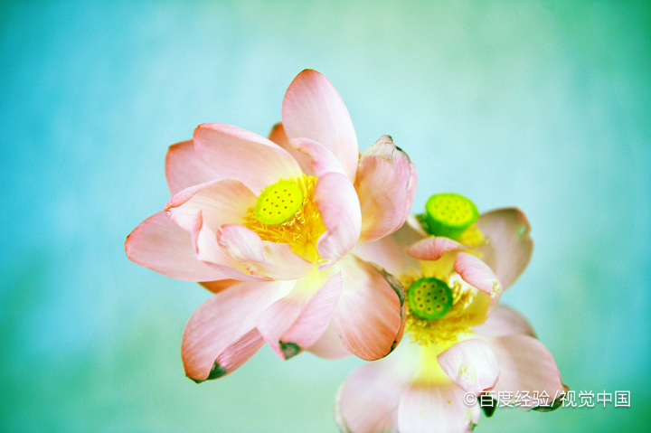 关于人心人性的句子