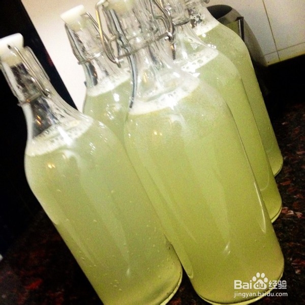 柠檬酵素的制作分享