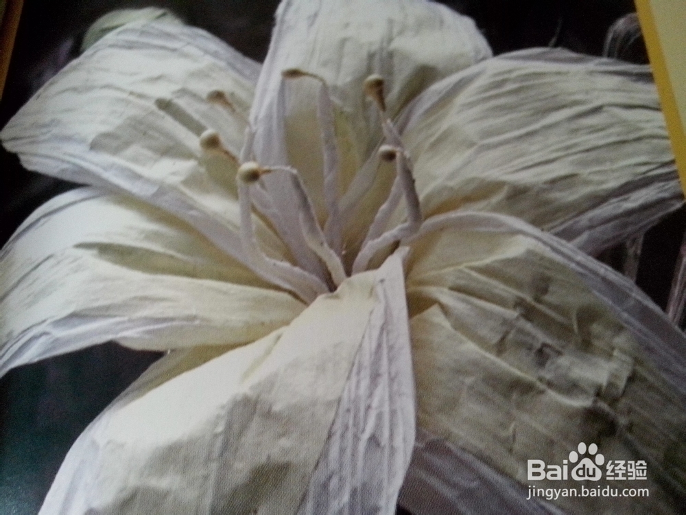 香水百合——纸花的具体做法