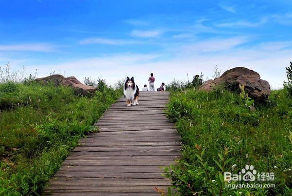 保定旅游景点攻略