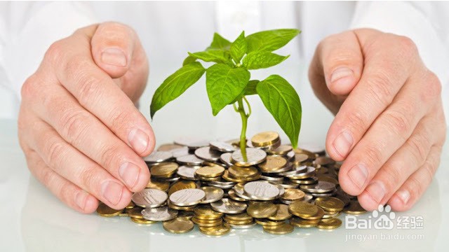 新手小白可以选择的基金有