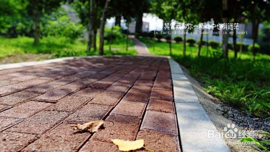 大学四年该怎么度过