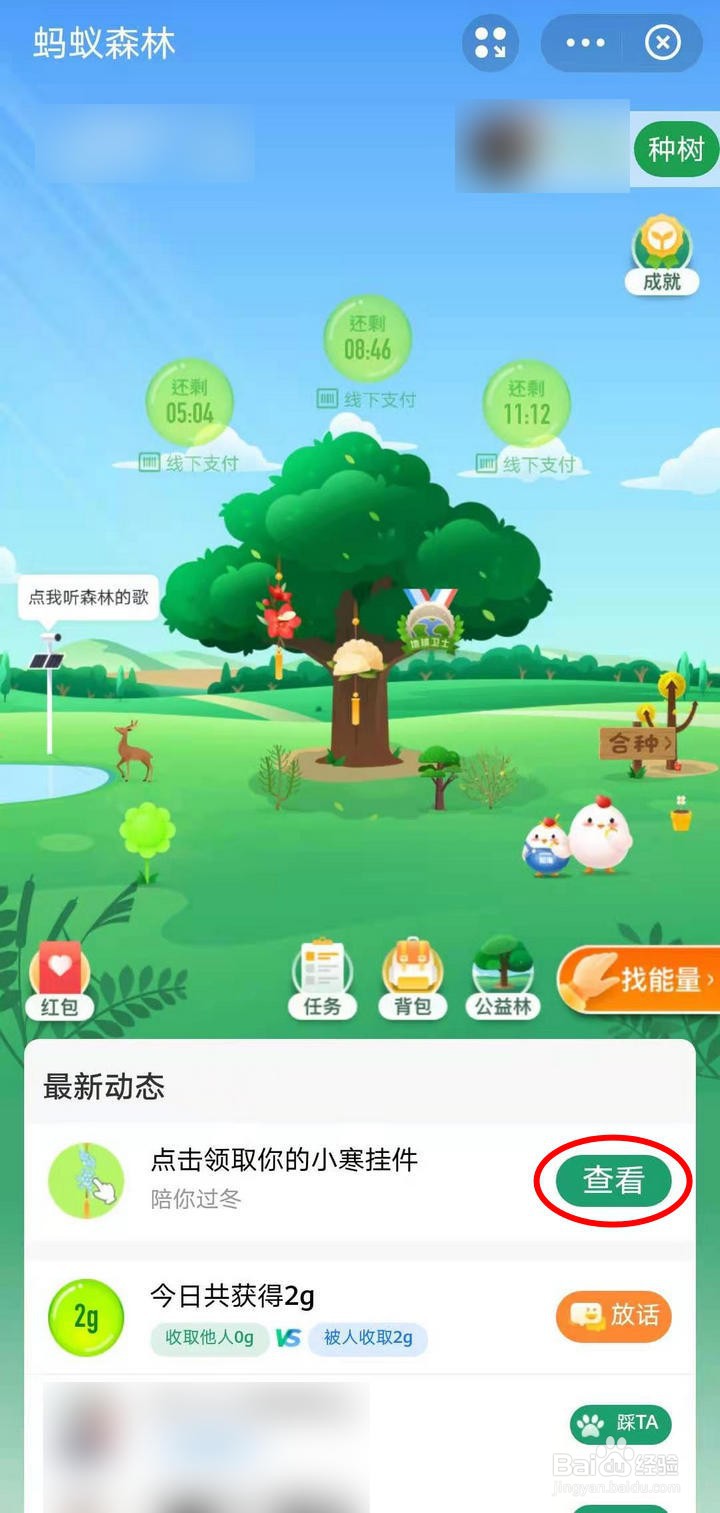 支付宝蚂蚁森林的小寒挂件如何获取