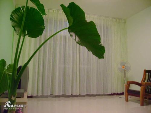 从那几方面考虑家庭窗帘的怎样选购促使家居协调