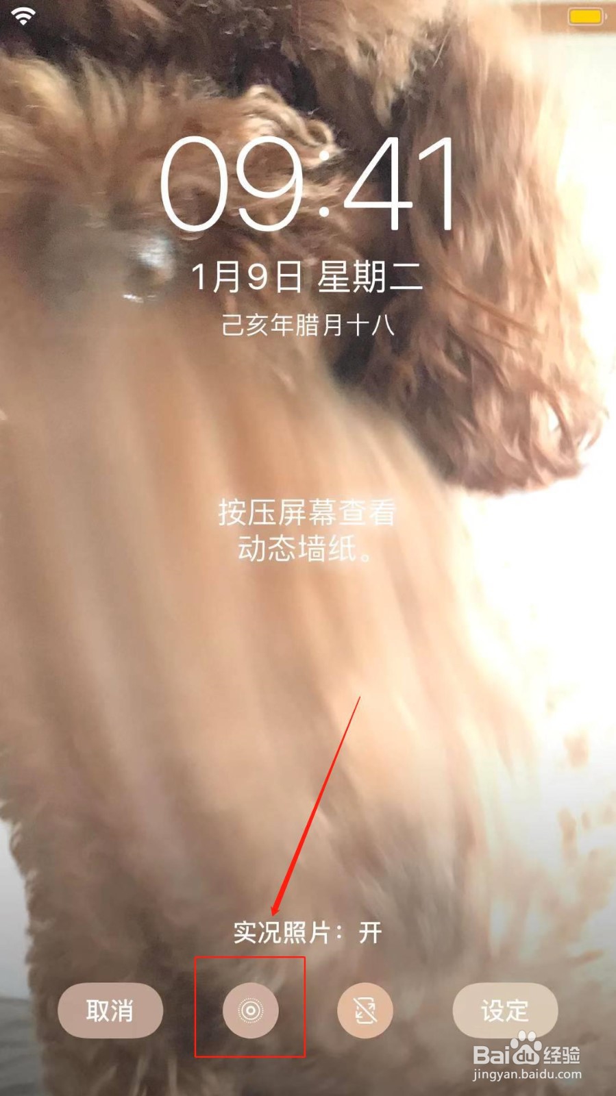 苹果动态壁纸怎么设置