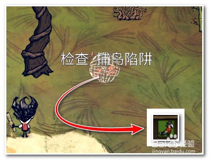 饥荒海难鹦鹉怎么抓