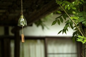 创业需要注意什么