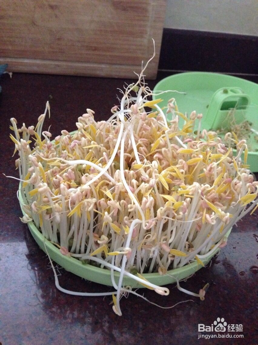 如何在家轻松发豆芽