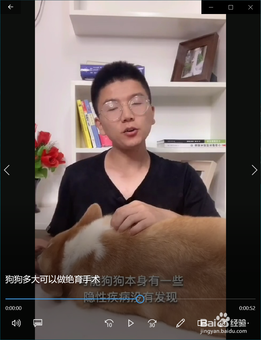 狗狗多大可以做绝育手术