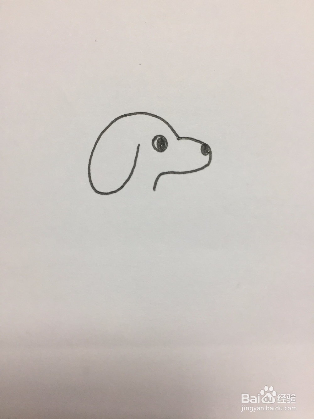 狗狗的简笔画画法