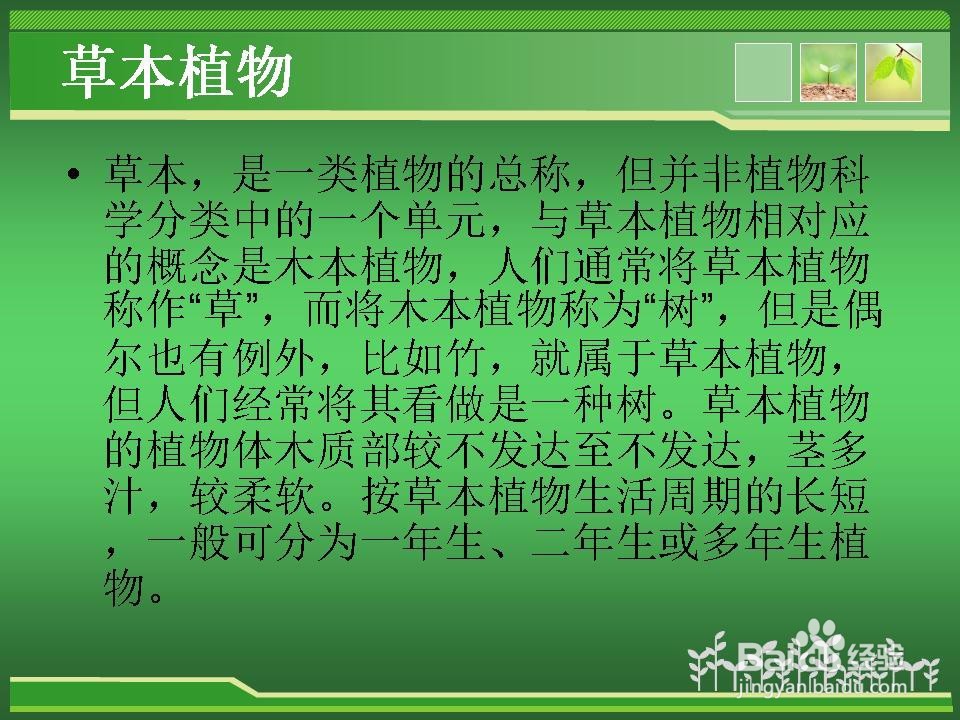 植物的分类介绍