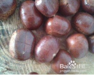 板栗怎么开十字口