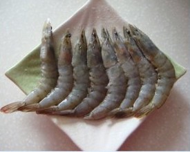 富贵红火大明虾