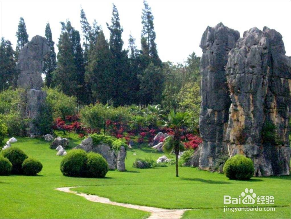 如何学习高中语文（个人愚见整理）