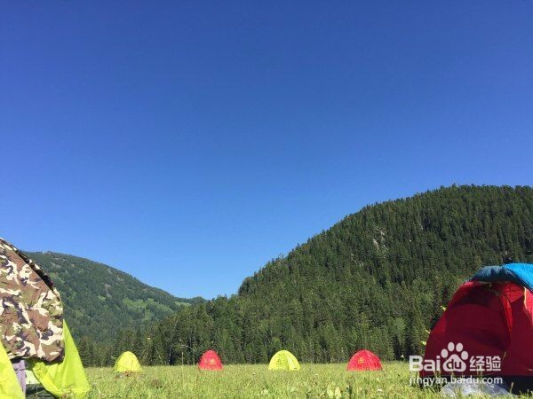 喀纳斯旅游攻略