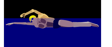 怎样更好的学习自由泳？