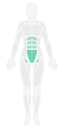 仰卧交替抬腿_人鱼线雕刻