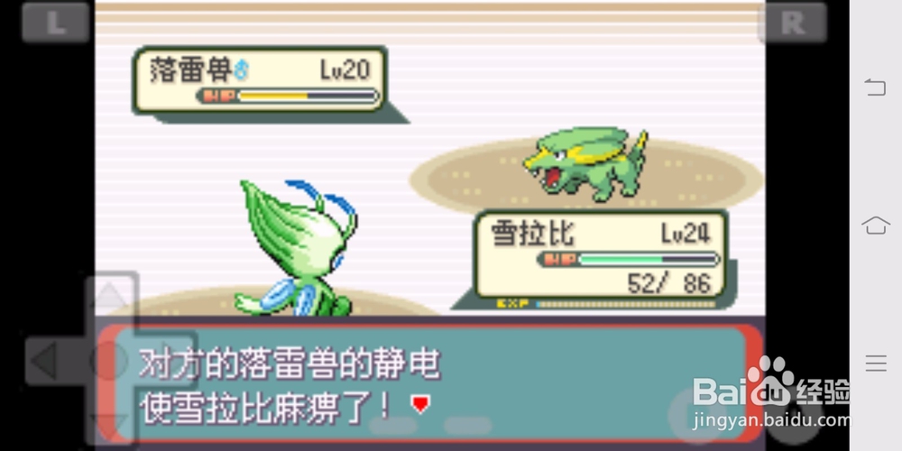 宝可梦绿宝石紫堇市道馆攻略