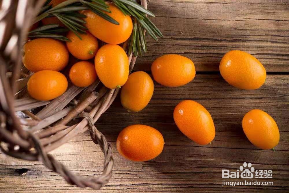 怎么挑选新鲜金桔?