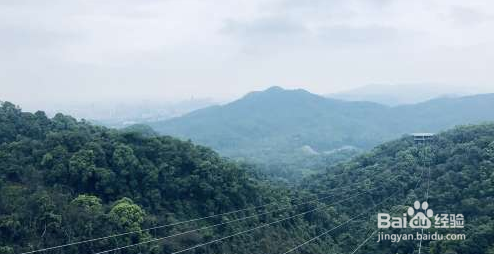 广州游玩必去的几个地方?