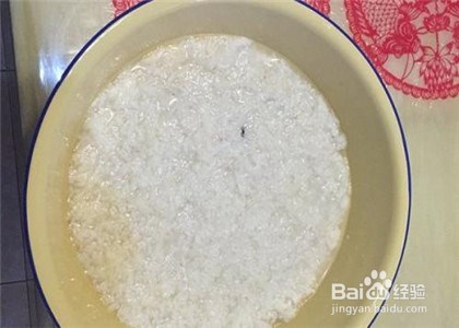 钓鲫鱼的方法与饵料