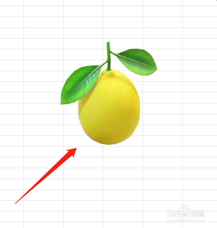 Excel中怎么插入柠檬3D模型