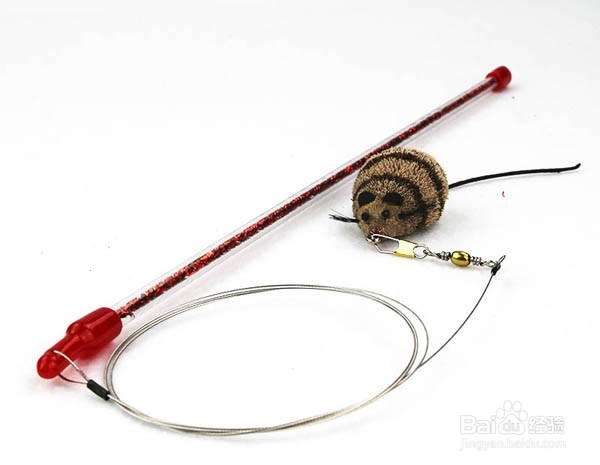 一只逗猫棒，陪伴猫咪的快乐时光