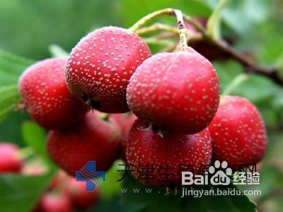 经常痛经怎么办应该注意些什么