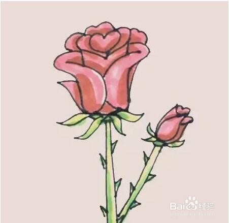 伴儿成长简笔画系列-怎样画玫瑰花简笔画