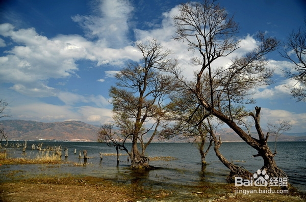 大理洱海住宿游玩攻略！