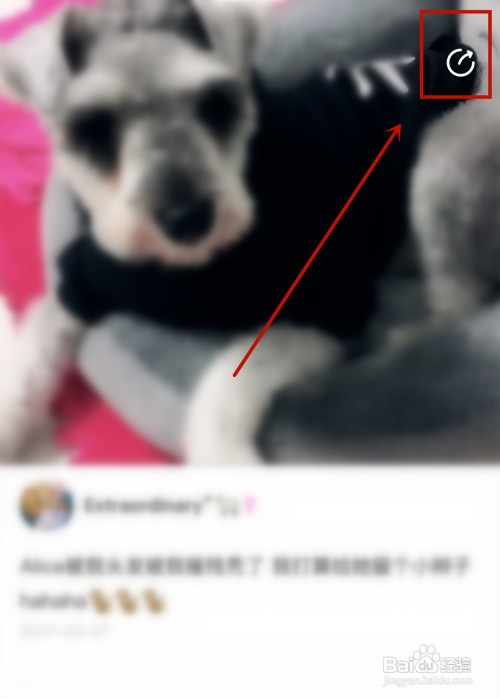 如何删除自己发布的美拍视频