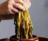 吃了会中毒的食物