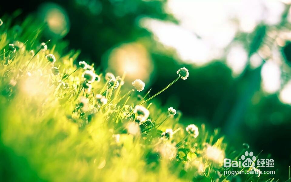 送给女人的九句话