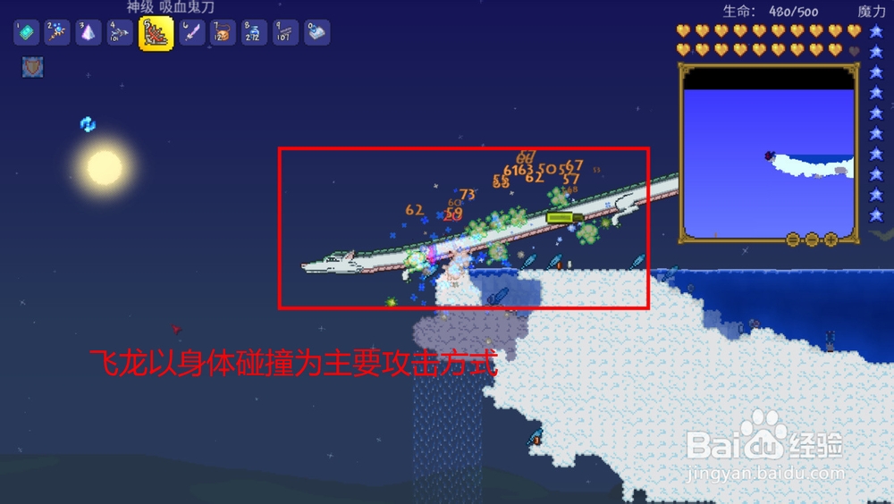 泰拉瑞亚如何对战天空岛飞龙