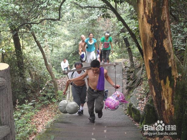 张家界自助游网站